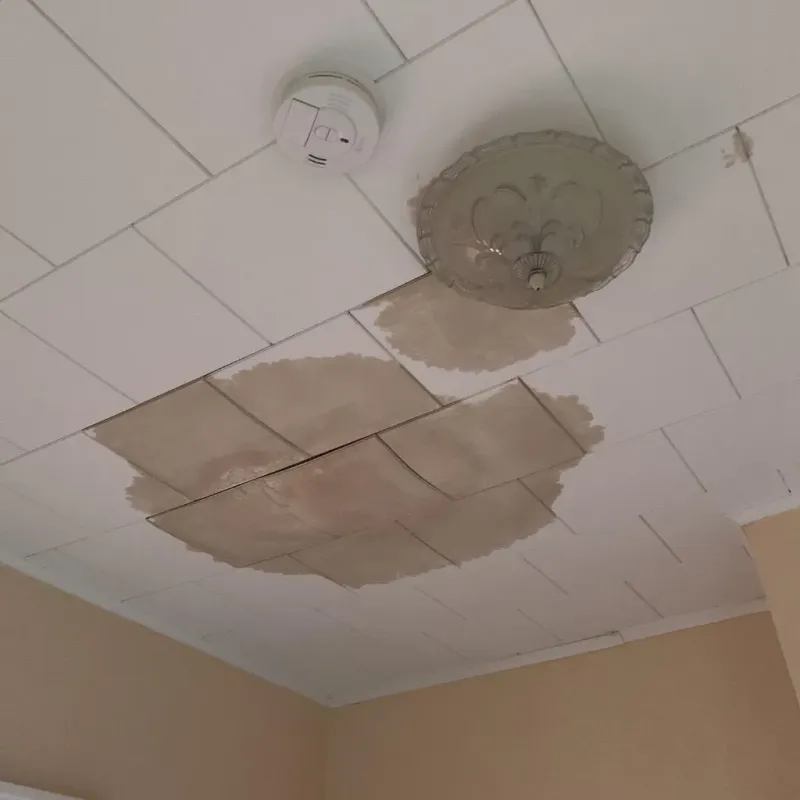 Ceiling Water Damage Repair in Lakesite, TN