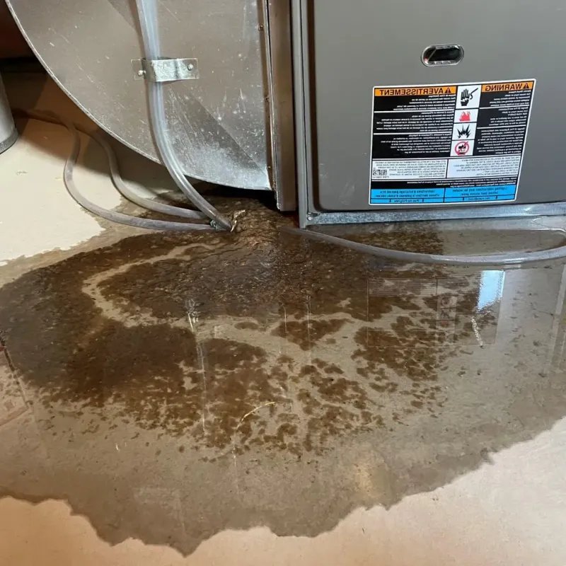 Pipe Burst and Leak Restoration in Lakesite, TN