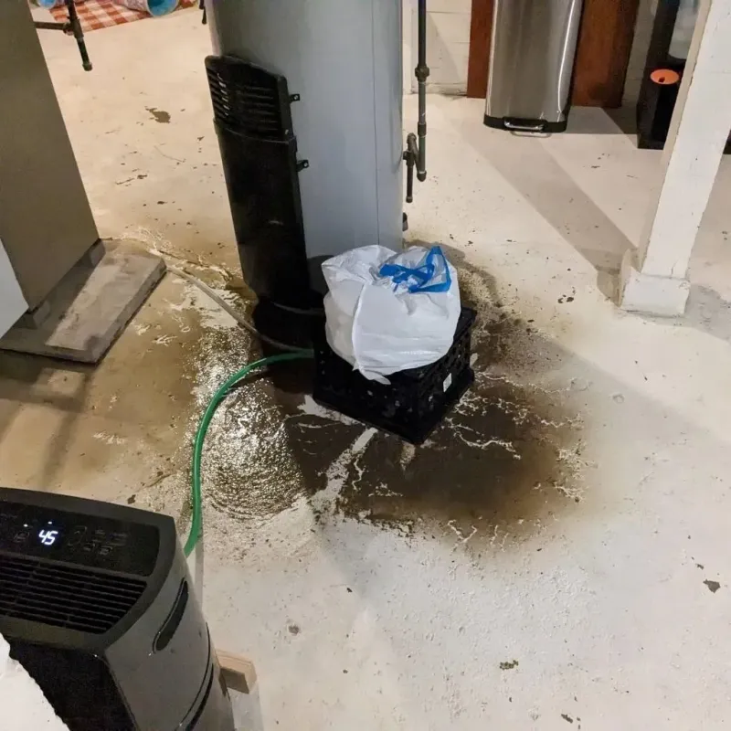 Sewage Backup Cleanup Service in Lakesite, TN